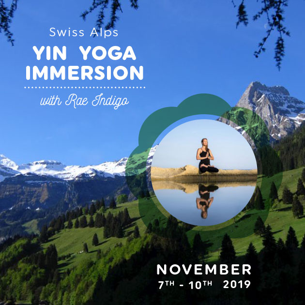 world yoga institute seminar yin yoga immersion image